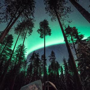 西西人体大胆撒尿视频
